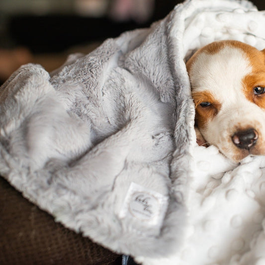 Gray Hide Minky Pet Blanket - Personalized
