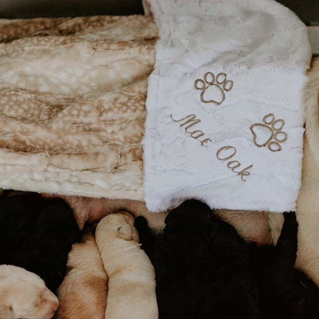 Beige Fawn Minky Pet Blanket - Pet Fawn Throw - Personalized