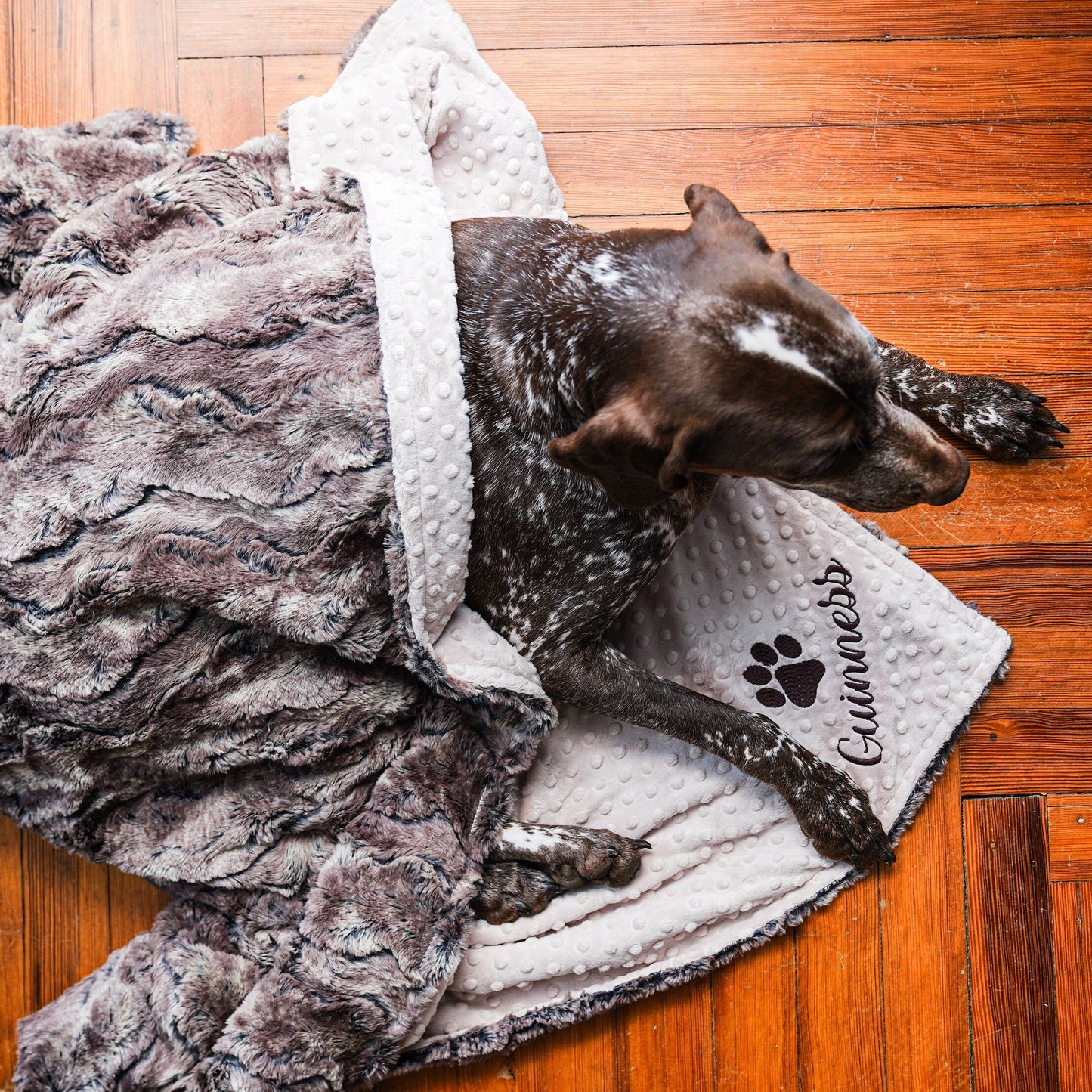 Wild Rabbit Walnut Minky Pet Blanket - Neutral Dog Blanket - Personalized