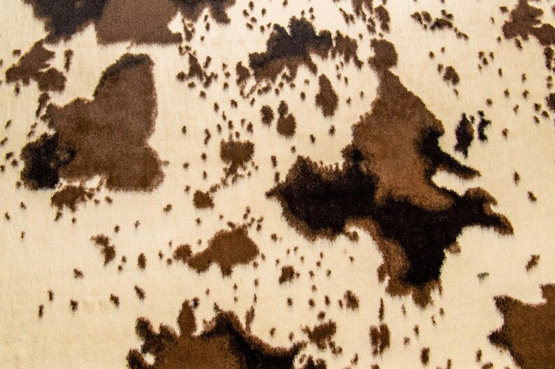 Ivory Brown Pony Western Adult Minky Throw Blanket