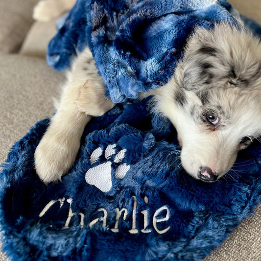 Blue Print Sorbet Minky Pet Blanket - Blue Dog Blanket - Personalized