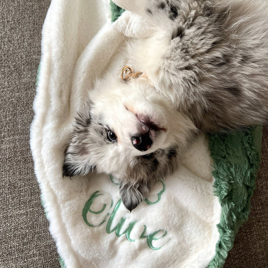 Basil Glacier Green Minky Pet Blanket - Personalized