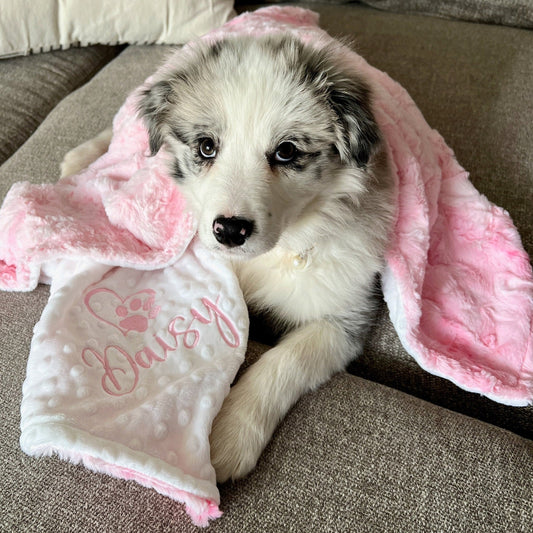 Galaxy Blush Minky Pet Blanket - Pink Pet Blanket - Personalized
