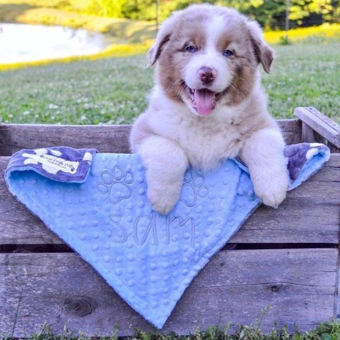 Paw Print Dog Blanket - Personalized Dog Blanket - Personalized