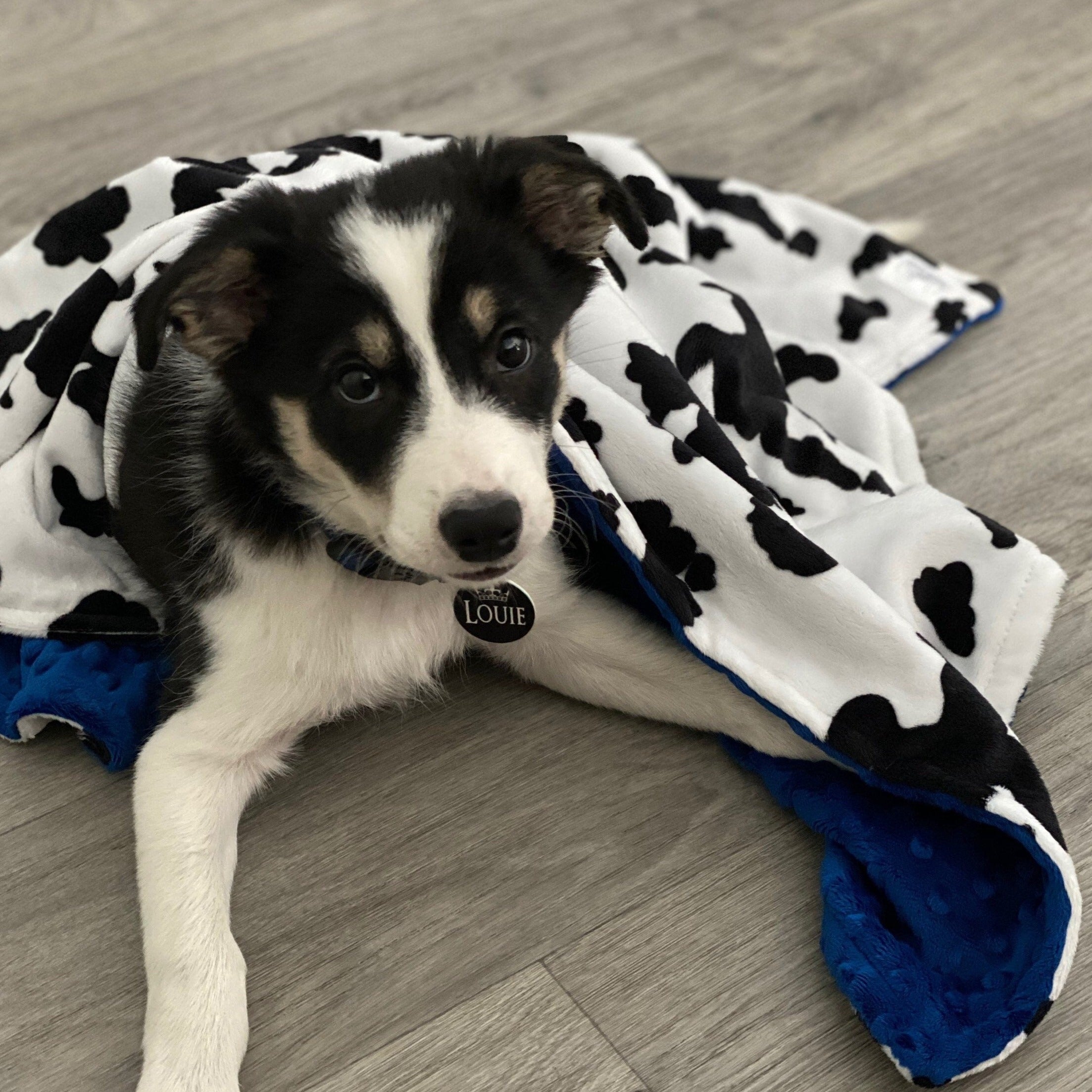 Baby dog clearance blanket